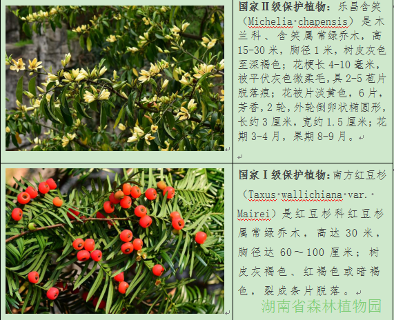 AG旗舰厅(中国游)官方网站