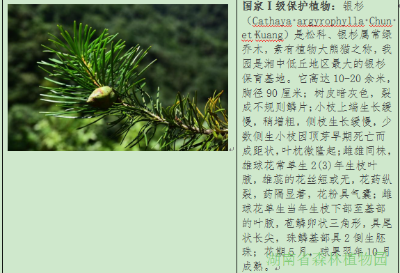 AG旗舰厅(中国游)官方网站