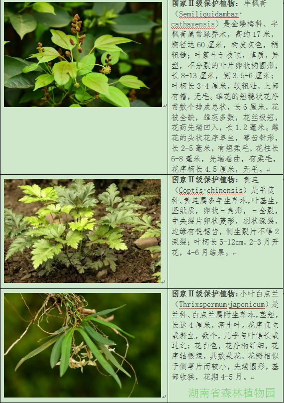 AG旗舰厅(中国游)官方网站