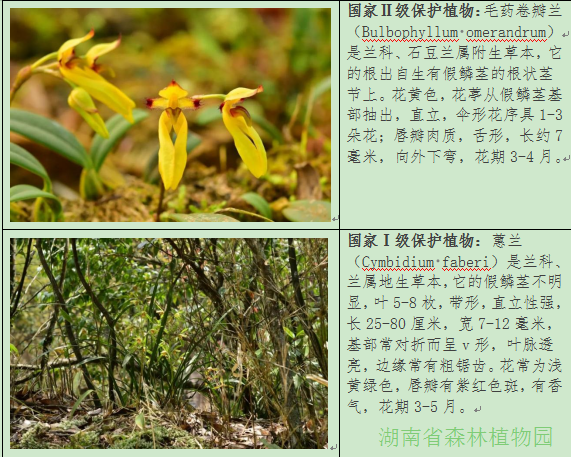 AG旗舰厅(中国游)官方网站