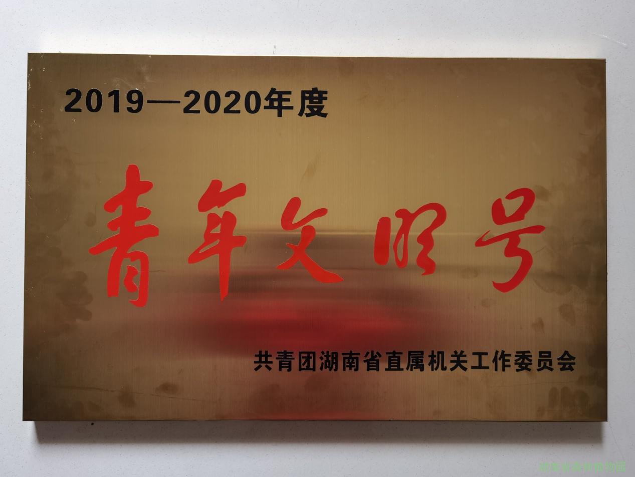 AG旗舰厅(中国游)官方网站