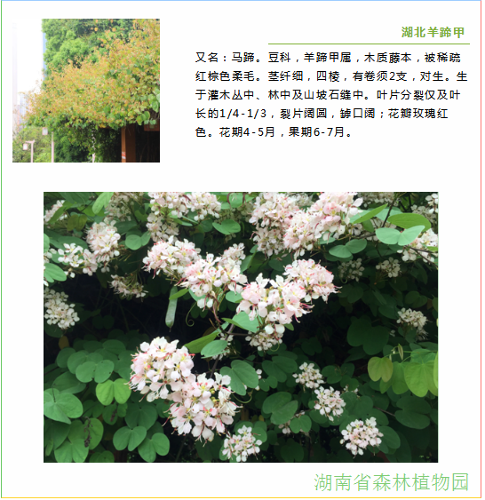 AG旗舰厅(中国游)官方网站