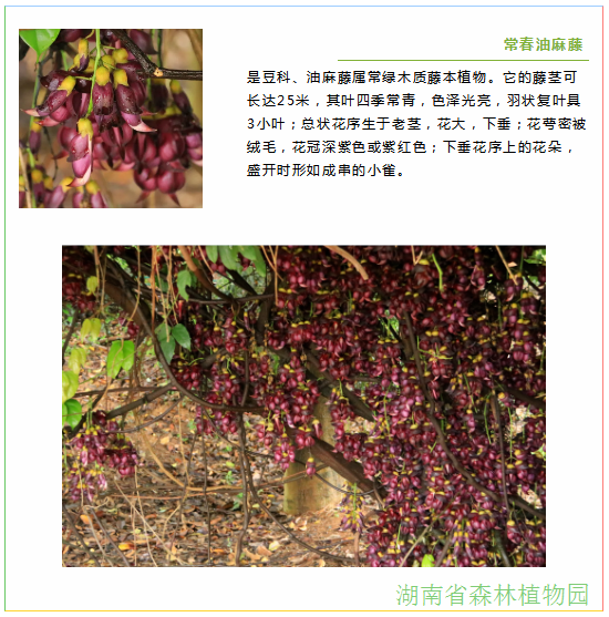 AG旗舰厅(中国游)官方网站