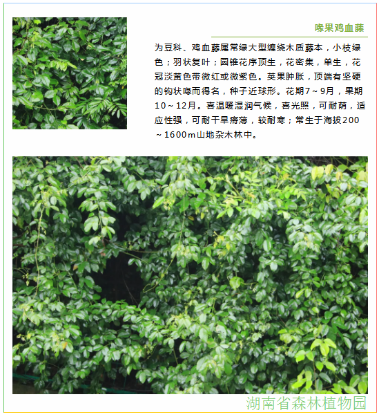 AG旗舰厅(中国游)官方网站