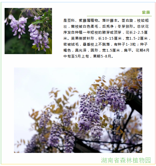 AG旗舰厅(中国游)官方网站