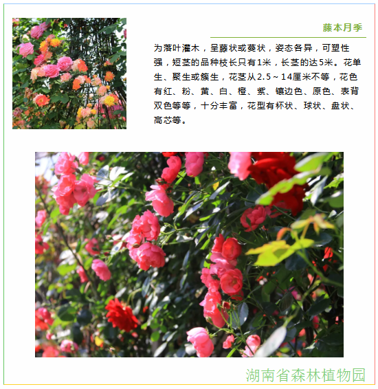 AG旗舰厅(中国游)官方网站
