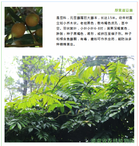 AG旗舰厅(中国游)官方网站