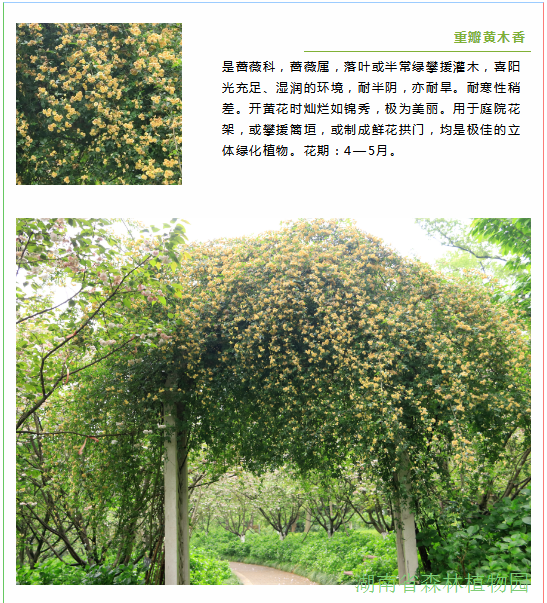 AG旗舰厅(中国游)官方网站