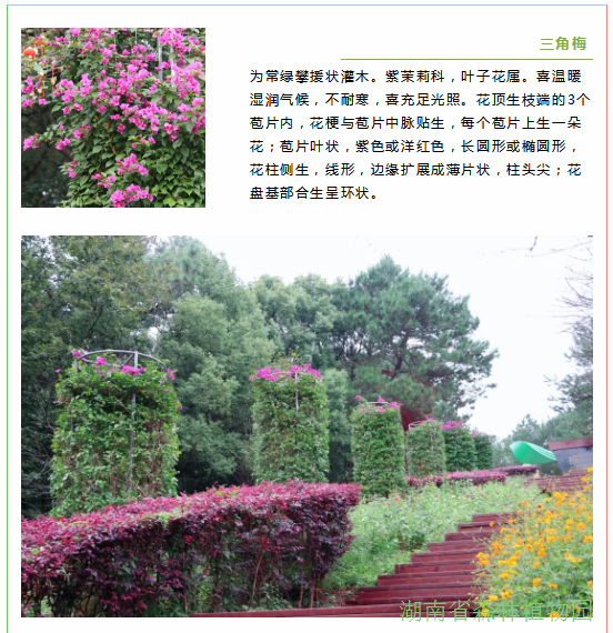 AG旗舰厅(中国游)官方网站