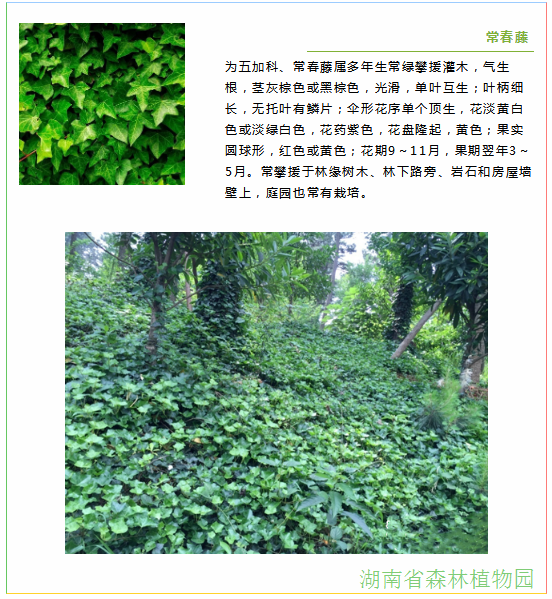 AG旗舰厅(中国游)官方网站