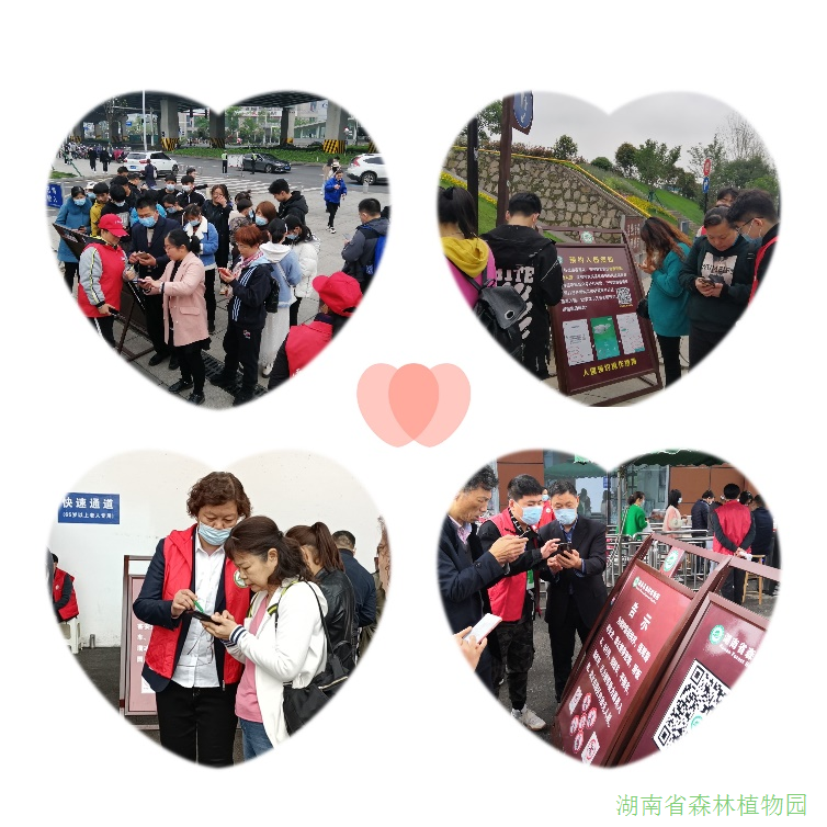 AG旗舰厅(中国游)官方网站