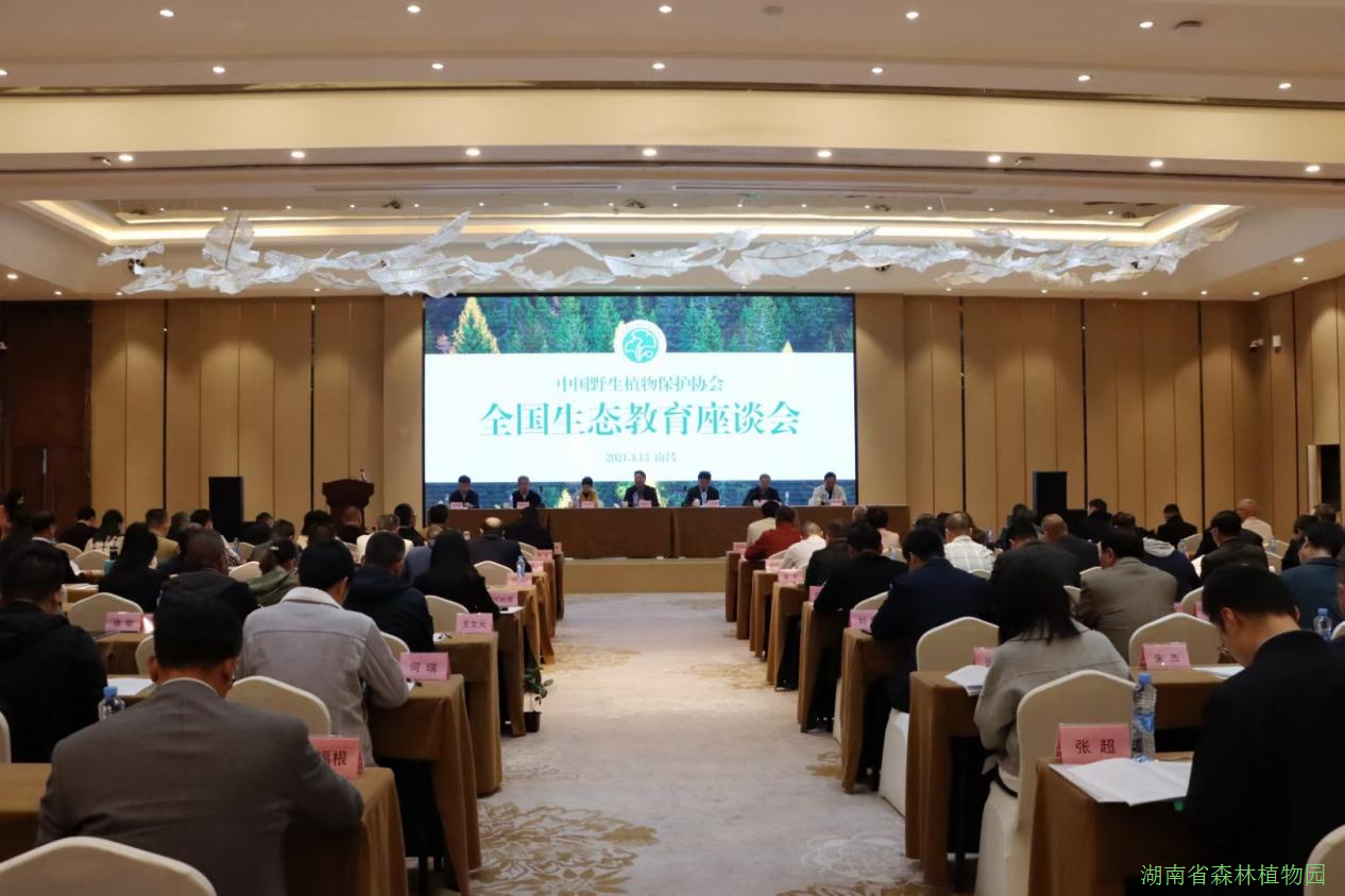 AG旗舰厅(中国游)官方网站