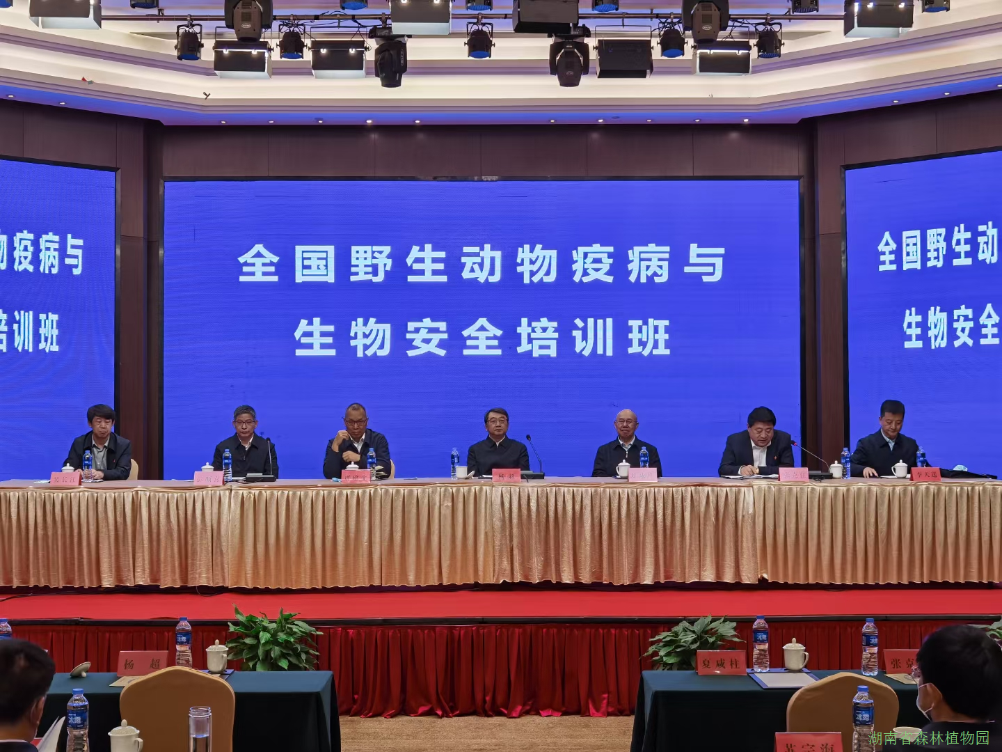 AG旗舰厅(中国游)官方网站