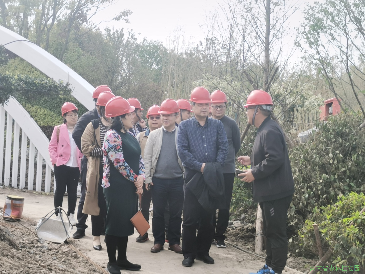 AG旗舰厅(中国游)官方网站
