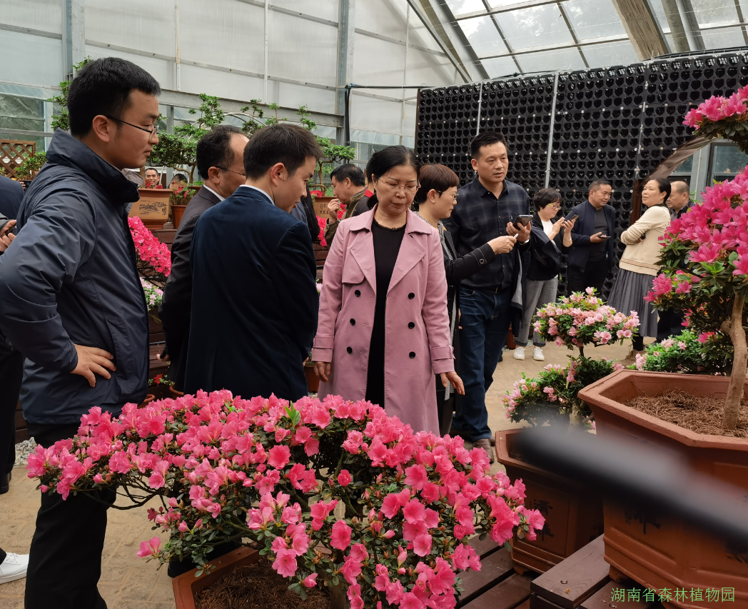 AG旗舰厅(中国游)官方网站