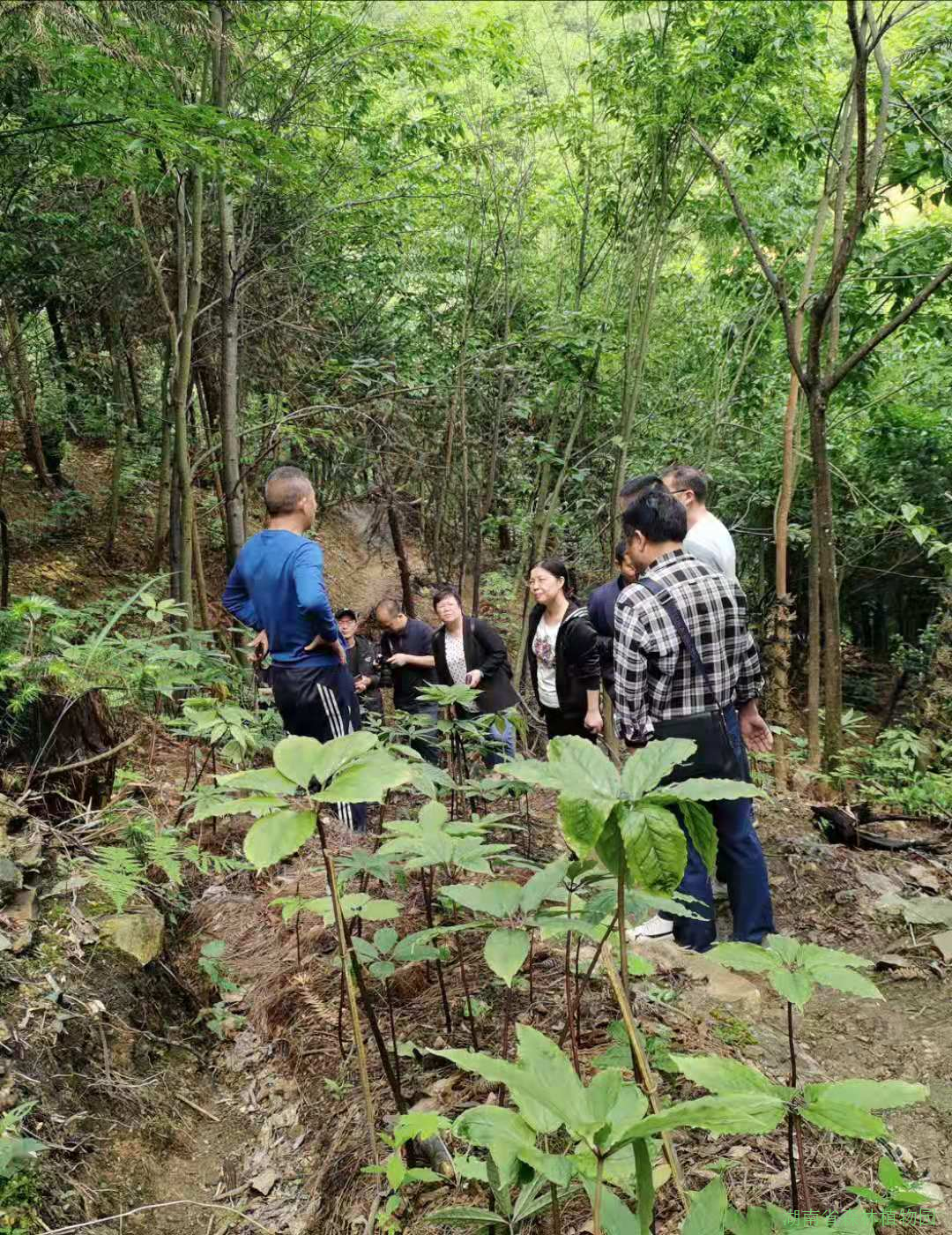 AG旗舰厅(中国游)官方网站