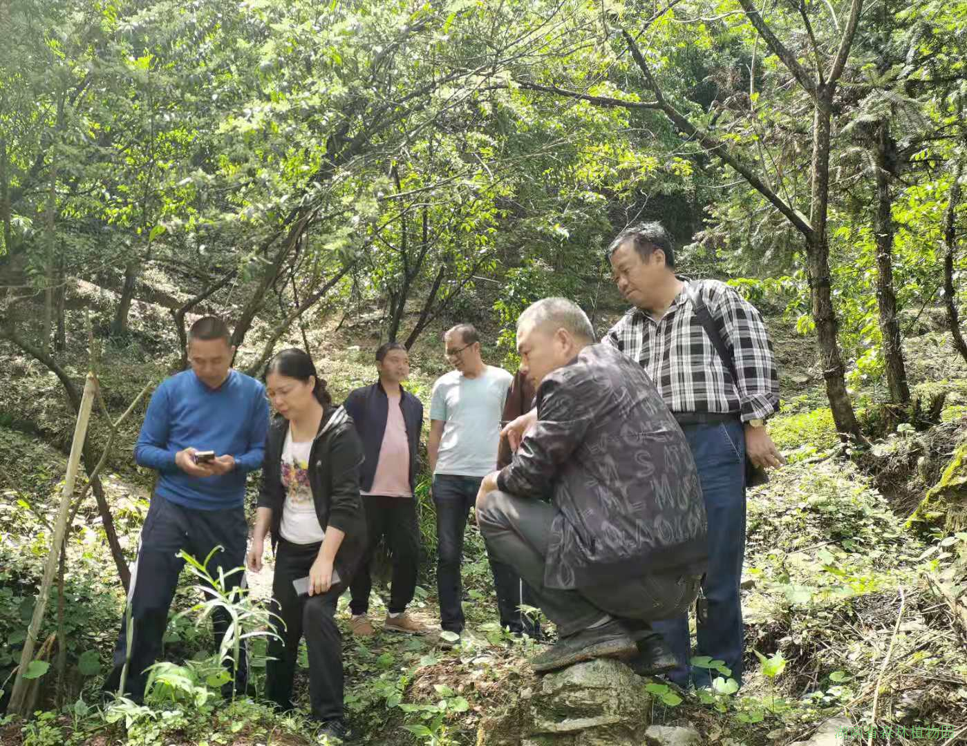 AG旗舰厅(中国游)官方网站