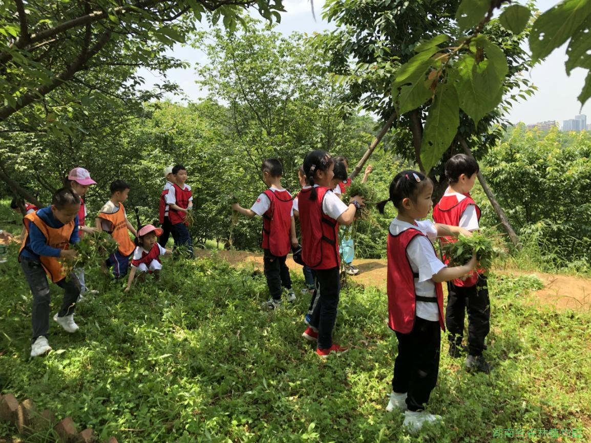 AG旗舰厅(中国游)官方网站