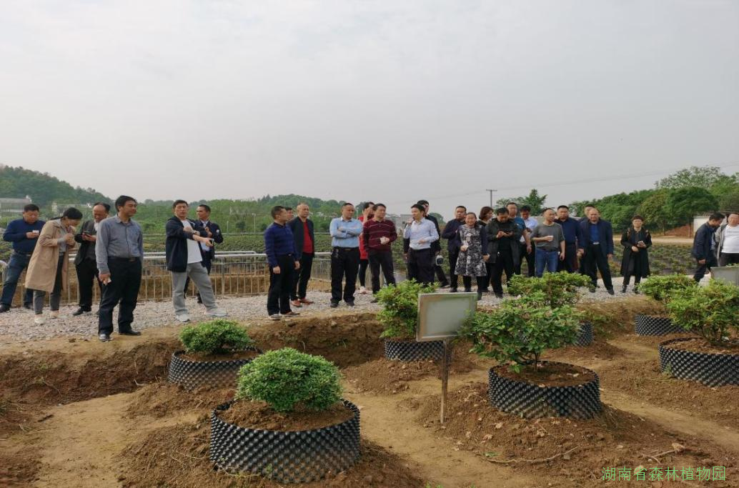 AG旗舰厅(中国游)官方网站