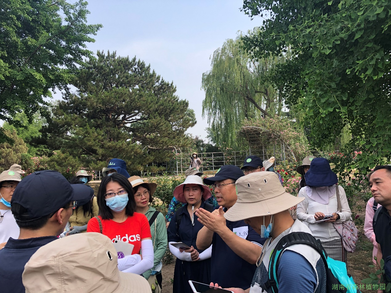 AG旗舰厅(中国游)官方网站