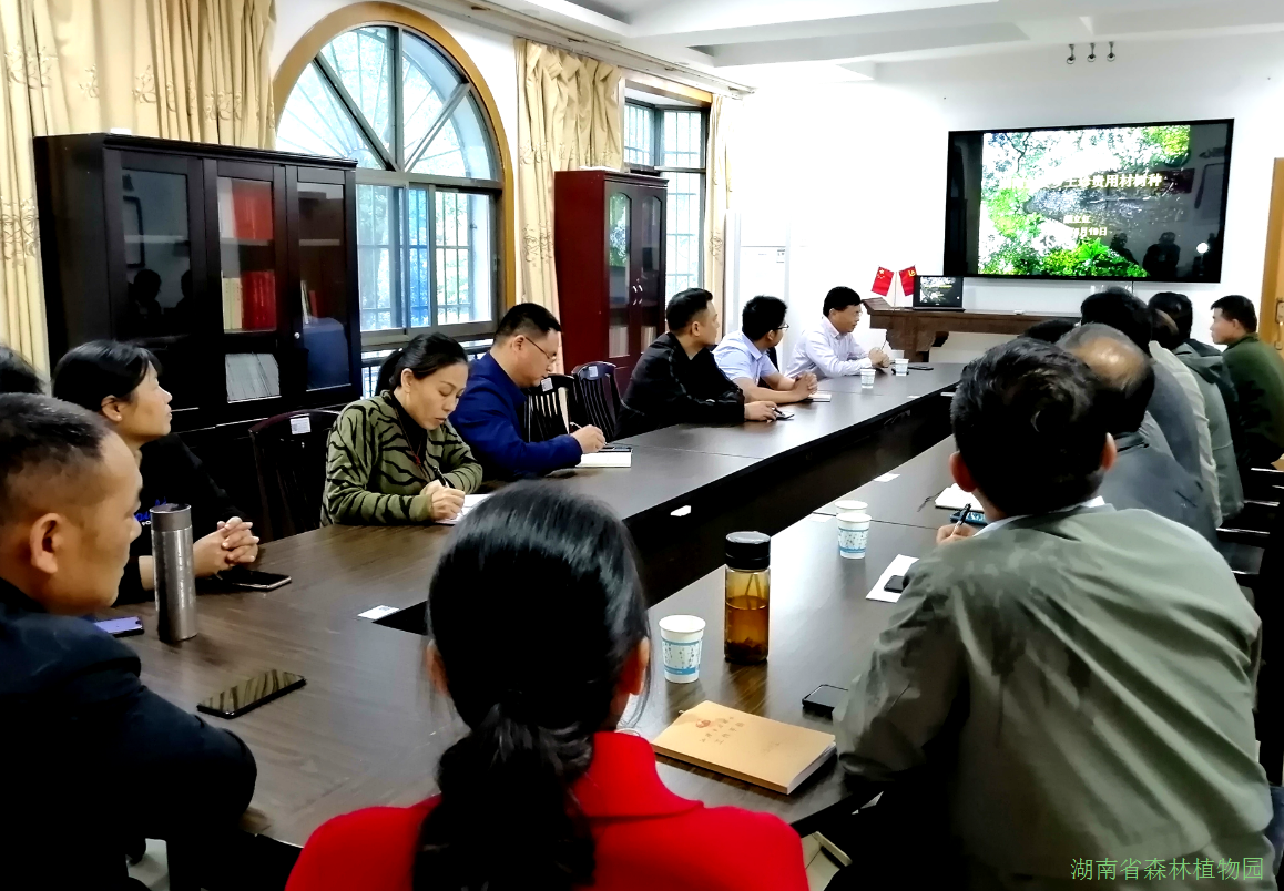 AG旗舰厅(中国游)官方网站