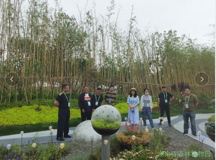 AG旗舰厅(中国游)官方网站