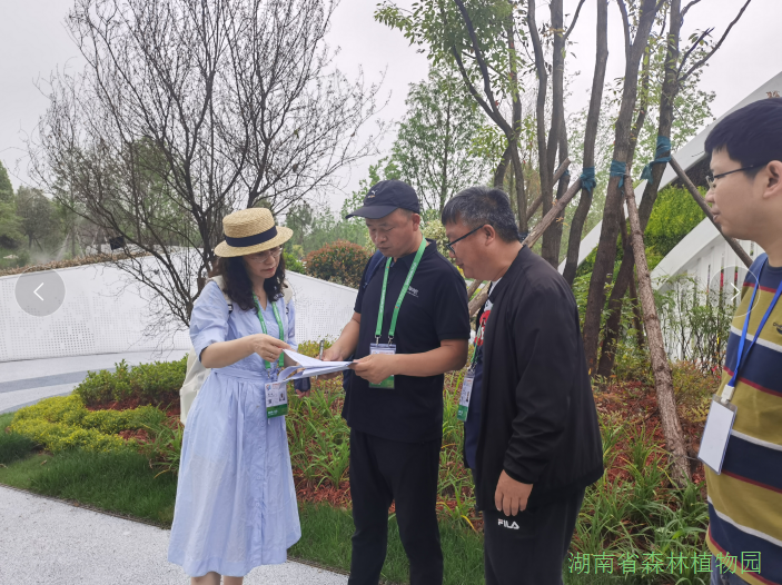 AG旗舰厅(中国游)官方网站