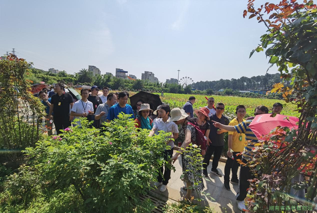 AG旗舰厅(中国游)官方网站