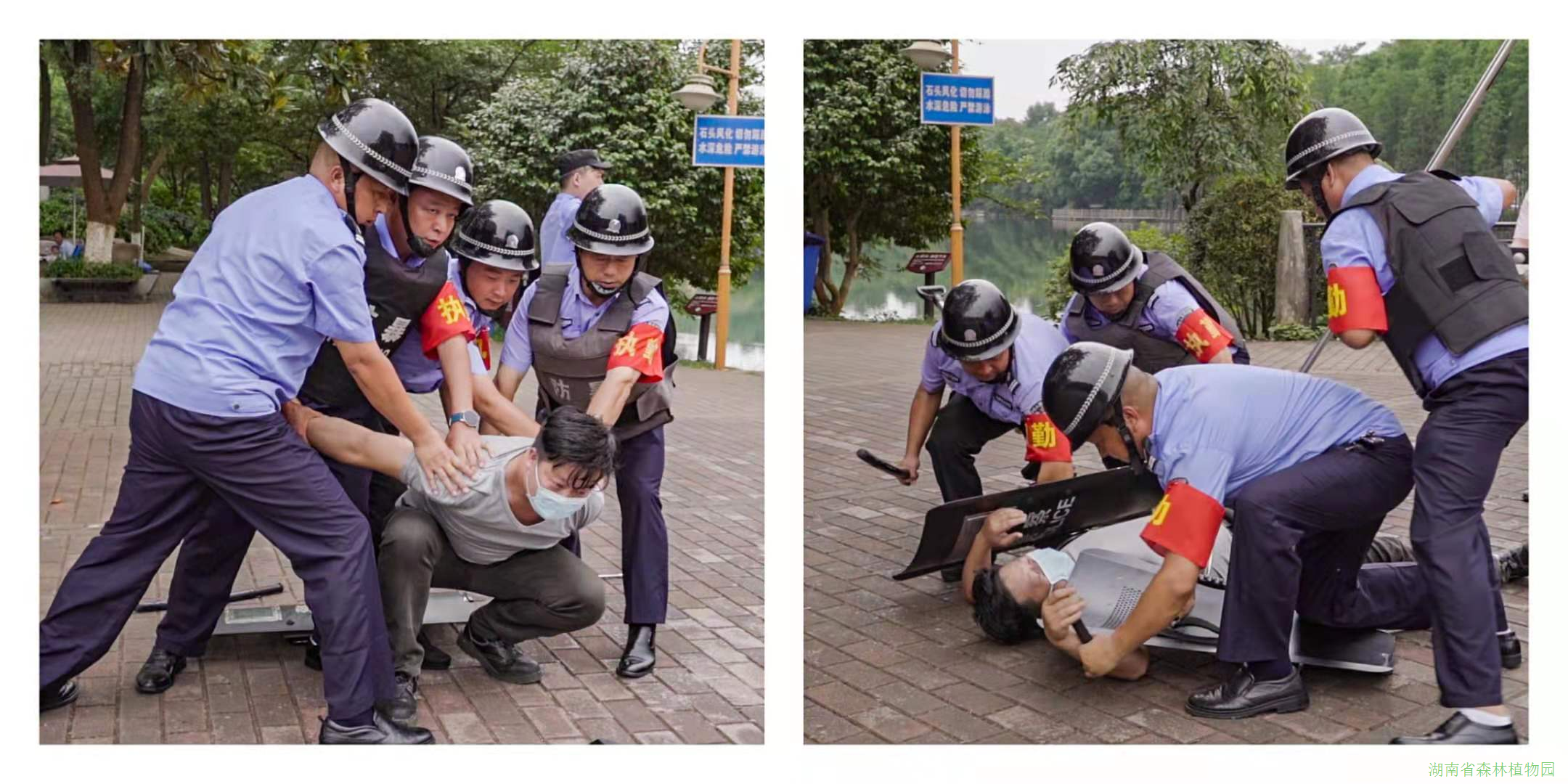 AG旗舰厅(中国游)官方网站