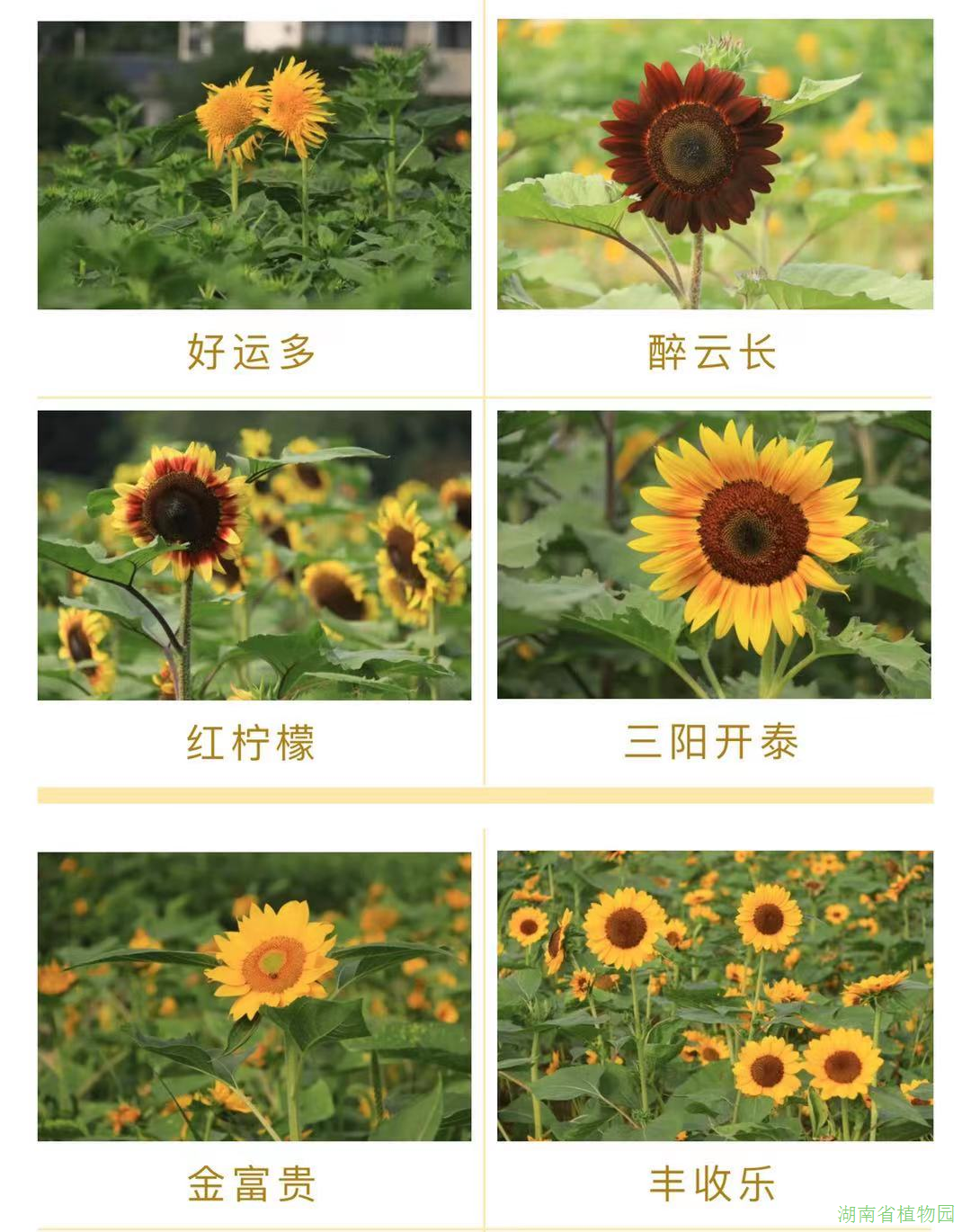 AG旗舰厅(中国游)官方网站