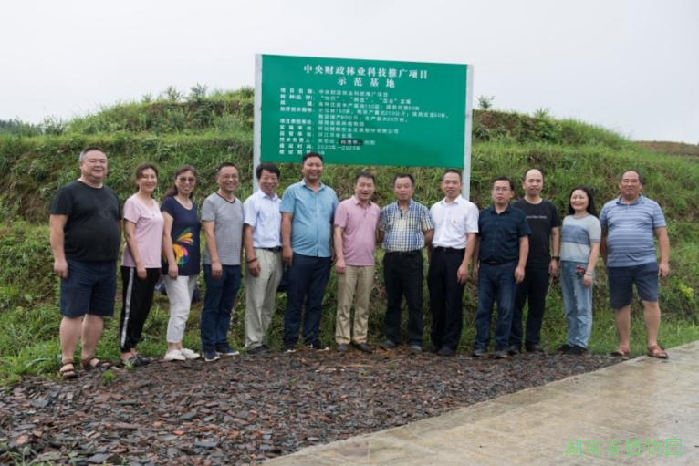 AG旗舰厅(中国游)官方网站