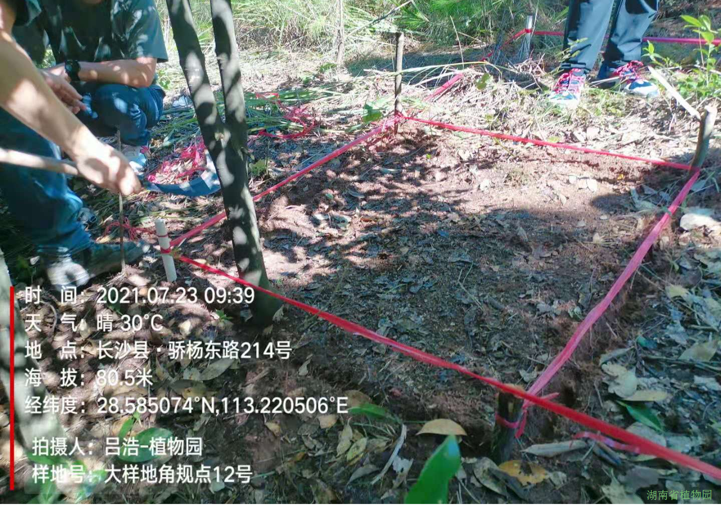 AG旗舰厅(中国游)官方网站