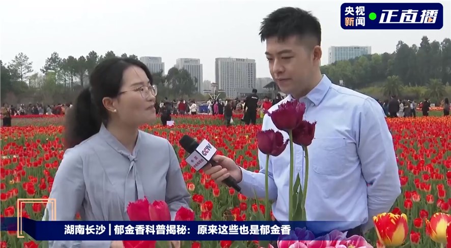 带你穿行万花丛中，，，，，感受春日优美！