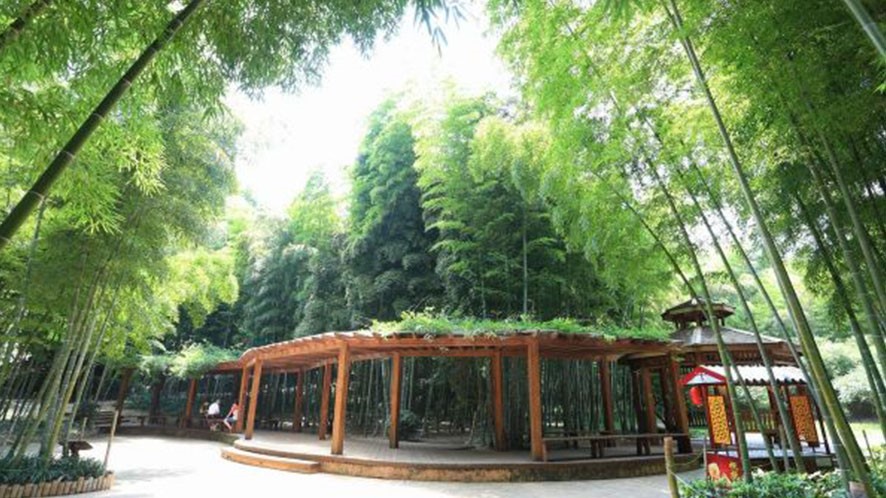 鉴赏竹园