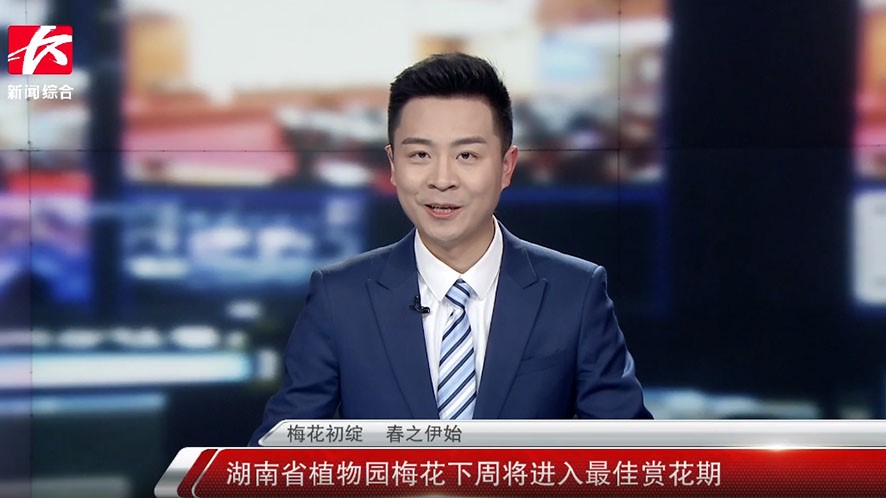梅花初绽 春之伊始|AG旗舰厅梅花下周将进入最佳赏花期