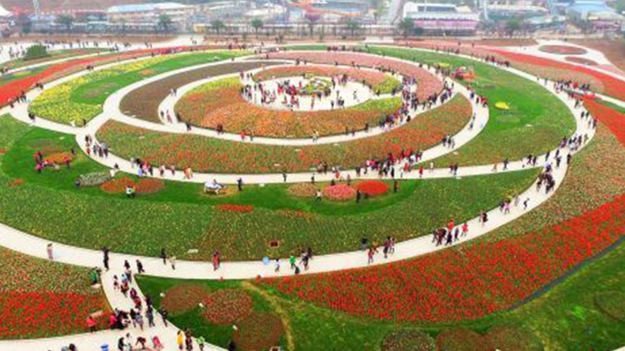 天下名花广场
