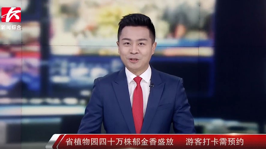 省AG旗舰厅四十万株郁金香盛放 游客打卡需预约
