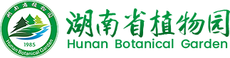 AG旗舰厅官网