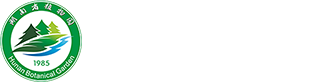 AG旗舰厅官网