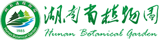 AG旗舰厅官网