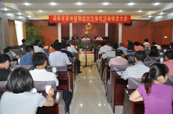 创先争优活动事情简报第一期 - AG旗舰厅_湖南省森林AG旗舰厅_濒危植物_植物保唬；森林公园_生态旅游 - AG旗舰厅官网