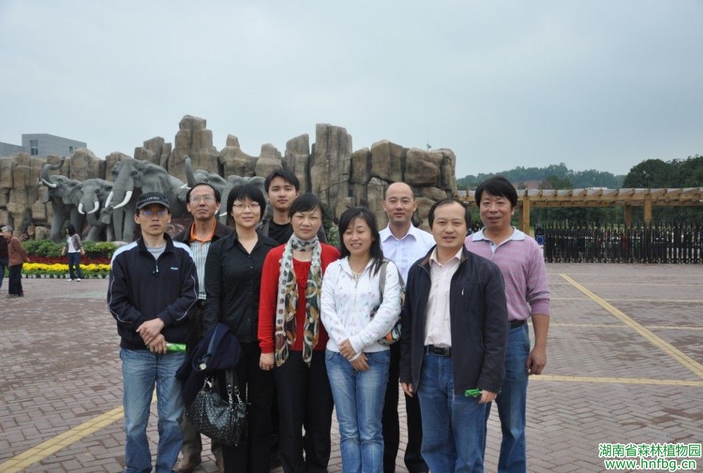 AG旗舰厅(中国游)官方网站