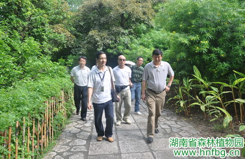 AG旗舰厅(中国游)官方网站