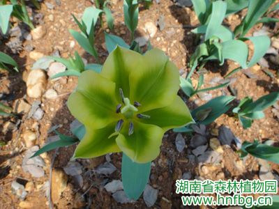 AG旗舰厅(中国游)官方网站