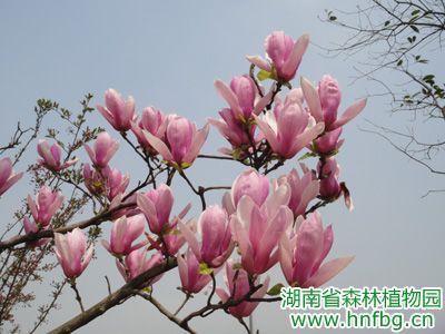 AG旗舰厅(中国游)官方网站