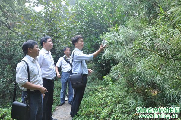 AG旗舰厅(中国游)官方网站