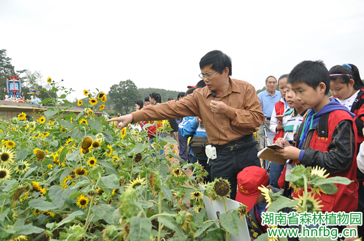 AG旗舰厅(中国游)官方网站