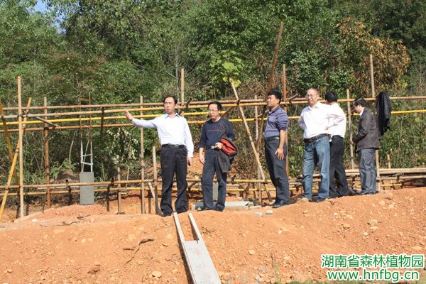 AG旗舰厅(中国游)官方网站