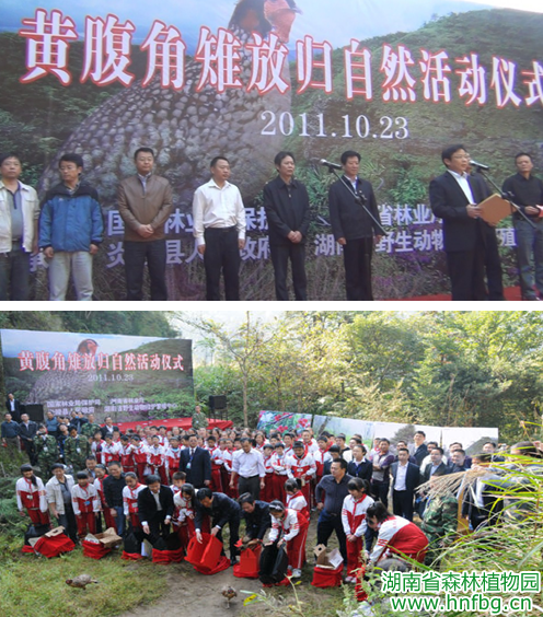 AG旗舰厅(中国游)官方网站