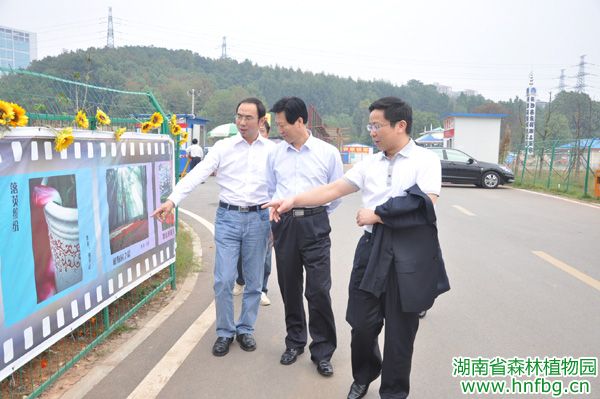 AG旗舰厅(中国游)官方网站